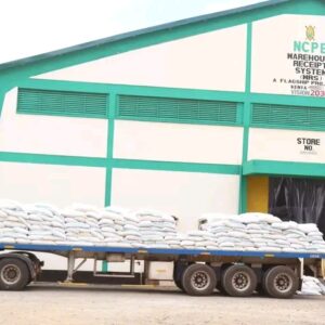 Governor Jonathan Bii