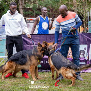 Eldoret Dog Expo 2025