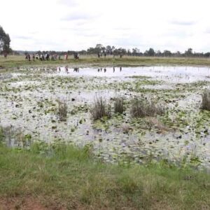 man drowns in Nandet dam