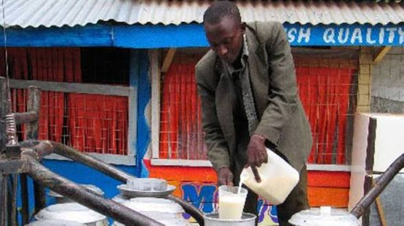 The Tumultuous Milk Crisis: Gripping Fear Encapsulates in Uasin Gishu Vulnerable Dairy Hawkers Under New Restrictions