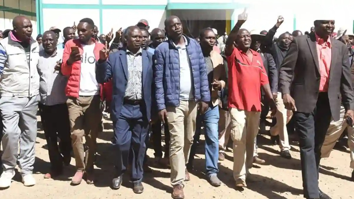 The Explosive Fury Erupts in Eldoret as Desperate Maize Farmers Plead for Urgent Government Rescue Amid Worsening Fertiliser Crisis