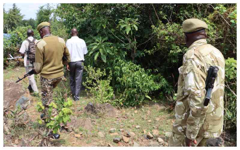 Giant Python Terror Haunts Uasin Gishu Village for 20 Years