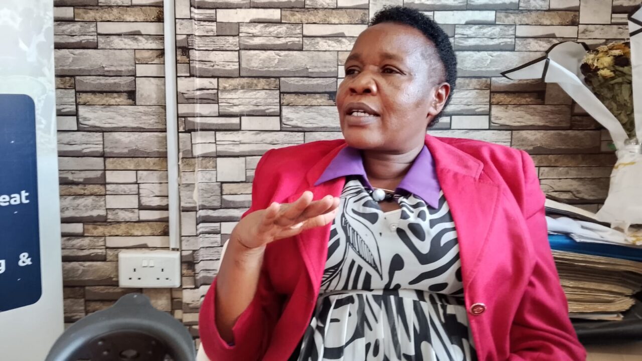 Stop The Violence: Uasin Gishu MCAs Tell Politicians to Stop Using Hired Thugs At Rallies