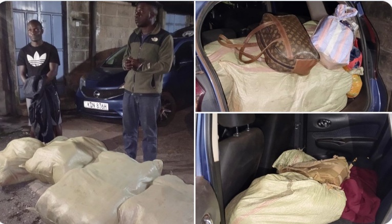 Two Arrested as Sh3.3 Million Worth of Bhang Seized After Dramatic Chase on Eldoret-Nakuru Highway