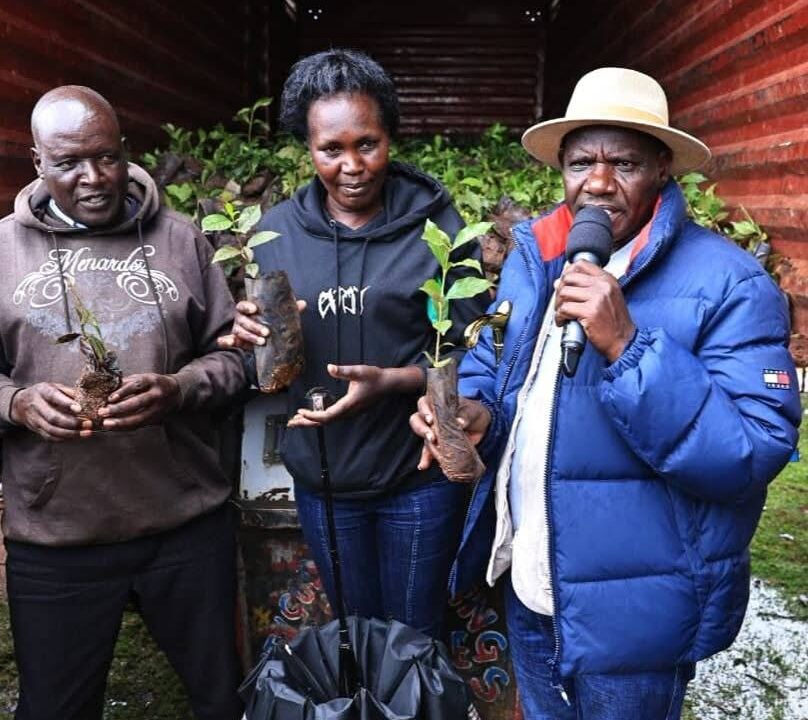 Uasin Gishu Expands Coffee Farming By 1,600 Acres In Three Years As Governor Bii Targets 5,000 Acres