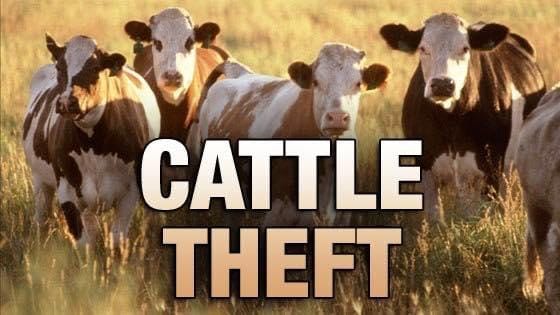 Suspected Cattle Thief Killed by Mob in Nandi-Uasin Gishu Border Area