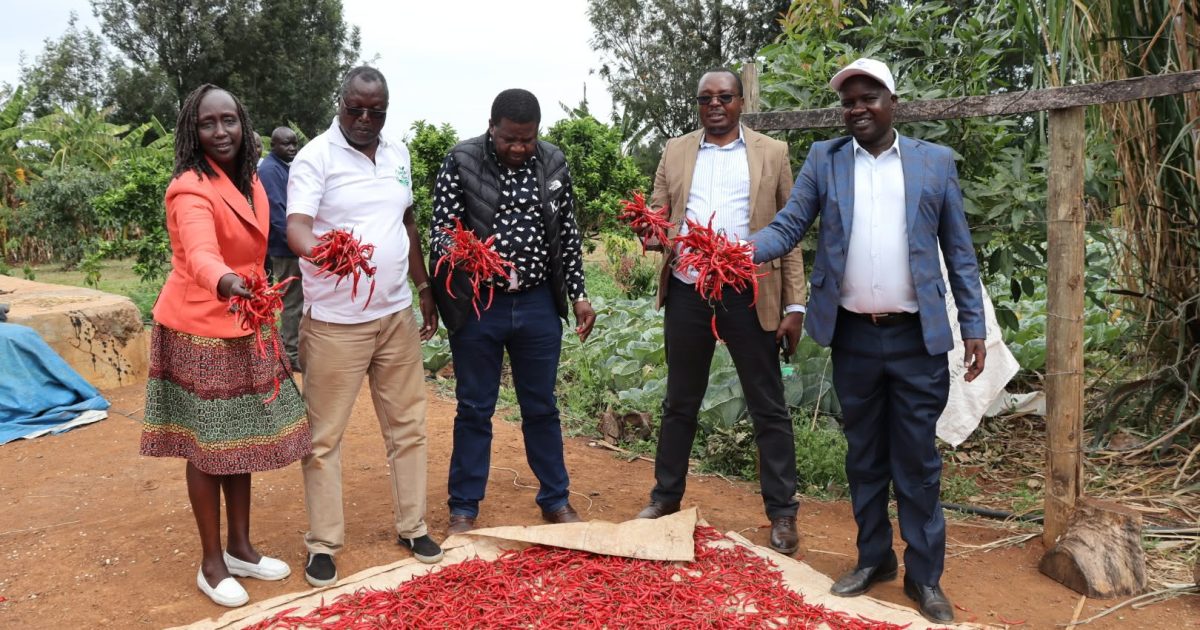 JOSCO Farm hailed for boosting jobs and youth skills in Ziwa